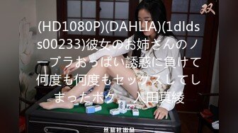 (HD1080P)(DAHLIA)(1dldss00233)彼女のお姉さんのノーブラおっぱい誘惑に負けて何度も何度もセックスしてしまったボク。 入田真綾