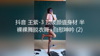 抖音 王紫-3 顶级颜值身材 半裸裸舞脱衣舞+自慰呻吟 (2)