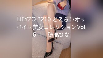 HEYZO 3210 どえらいオッパイ～美女コレクションVol.6～ – 穂高ひな