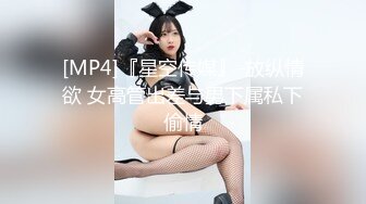 [MP4]『星空传媒』-放纵情欲 女高管出差与男下属私下偷情