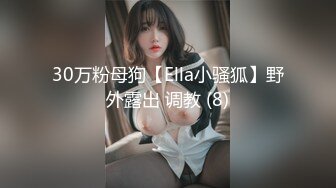 30万粉母狗【Ella小骚狐】野外露出 调教 (8)