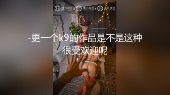 -更一个k9的作品是不是这种很受欢迎呢