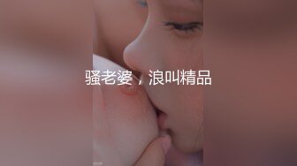 骚老婆，浪叫精品