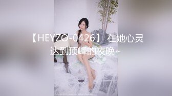 【HEYZO-0426】 在她心灵达到顶峰的夜晚~