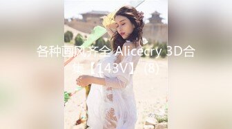 各种画风齐全 Alicecry 3D合集【143V】 (8)