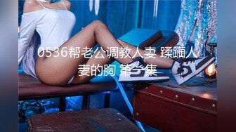 0536帮老公调教人妻 蹂躏人妻的胸 第一集