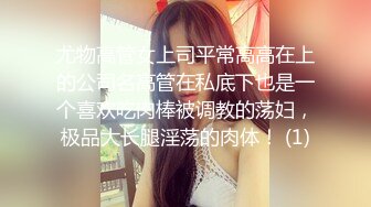 尤物高管女上司平常高高在上的公司名高管在私底下也是一个喜欢吃肉棒被调教的荡妇，极品大长腿淫荡的肉体！ (1)