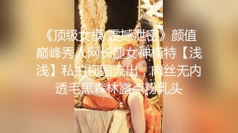 《顶级女模 震撼泄密》颜值巅峰秀人网长腿女神模特【浅浅】私拍视图流出，肉丝无内透毛黑森林露点粉乳头