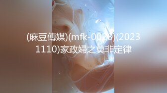 (麻豆傳媒)(mfk-0028)(20231110)家政婦之莫非定律