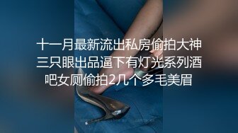 十一月最新流出私房偷拍大神三只眼出品逼下有灯光系列酒吧女厕偷拍2几个多毛美眉