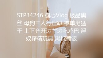 STP34246 糖心Vlog 极品黑丝 母狗三人行淫趴 被单男猛干 上下齐开边艹边吃鸡巴 淫奴榨精玩具 黑椒盖饭