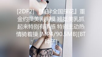 [2DF2] 『骚胖全国探花』重金约操美乳胸模 翘挺美乳抓起来特别有手感 特别主动热情骑着操 [MP4/90.5MB][BT种子]