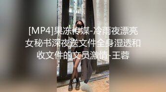 [MP4]果冻传媒-冷雨夜漂亮女秘书深夜送文件全身湿透和收文件的文员激情-王蓉