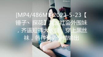 [MP4/486MB]2022-5-23【锤子丶探花】灰发社会外围妹，齐逼短裤大长腿，穿上黑丝袜，各种姿势尽情输出