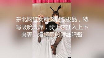 【AI换脸视频】徐璐  你的专属女仆