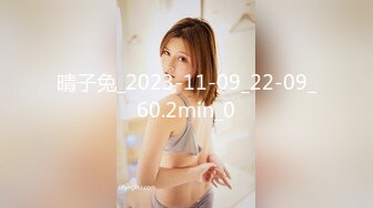 晴子兔_2023-11-09_22-09_60.2min_0